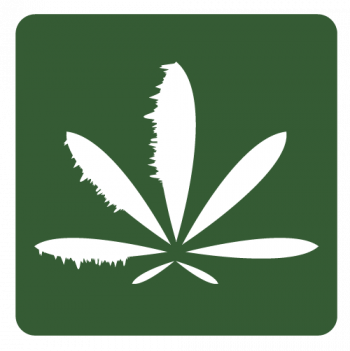 Cannabeasy