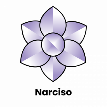 Narciso